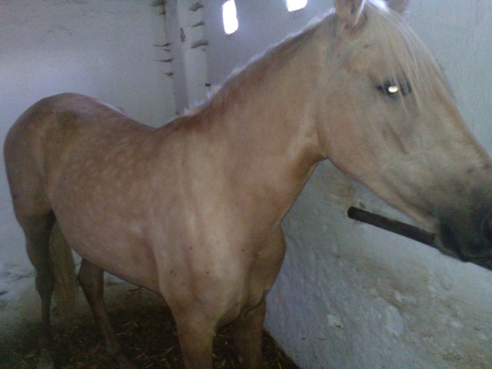 Photo de profil de caramelo7