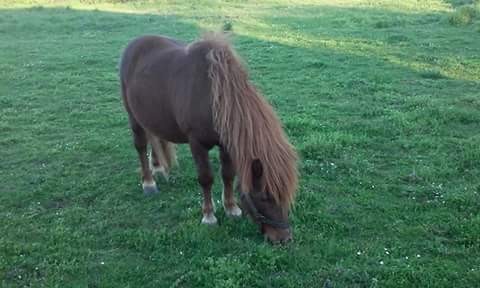 Photo de profil de caramelstsav