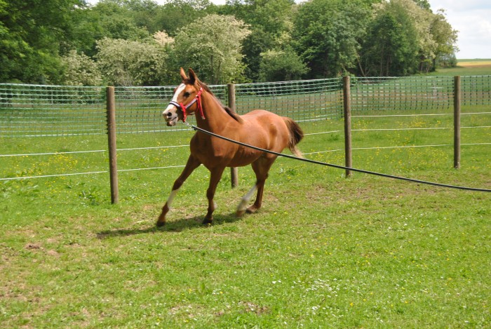 Photo de profil de carinebask