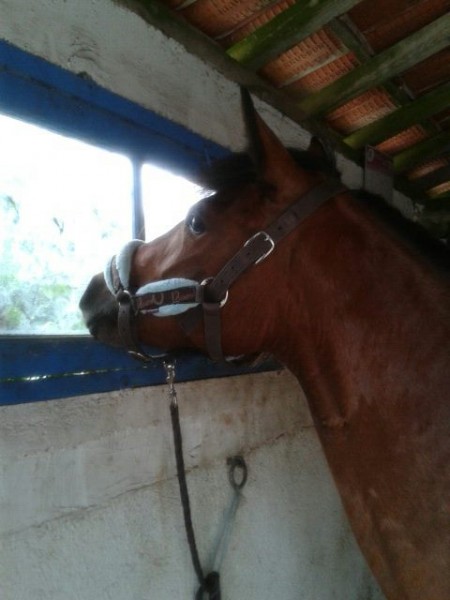 Photo de profil de carla263