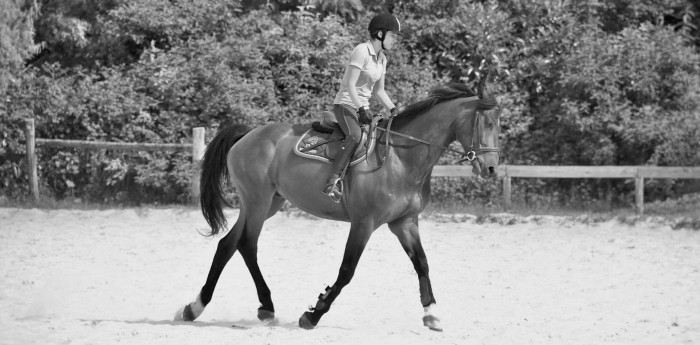 Photo de profil de cassandrebrtl72