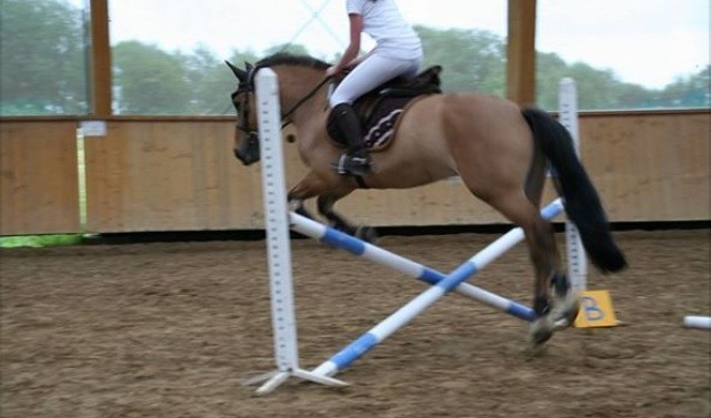 Photo de profil de casssandrrre