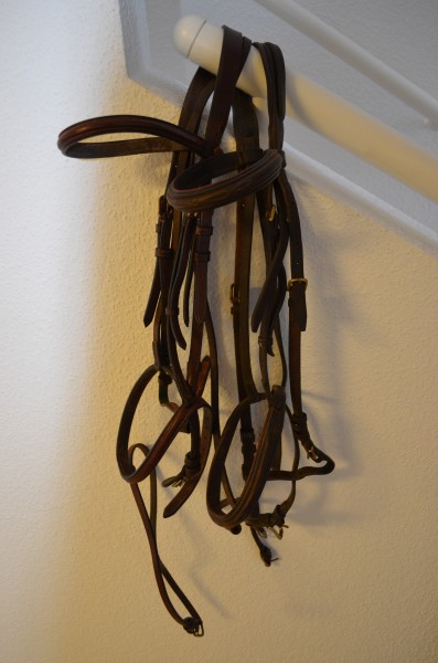 Photo de profil de cavalcadia