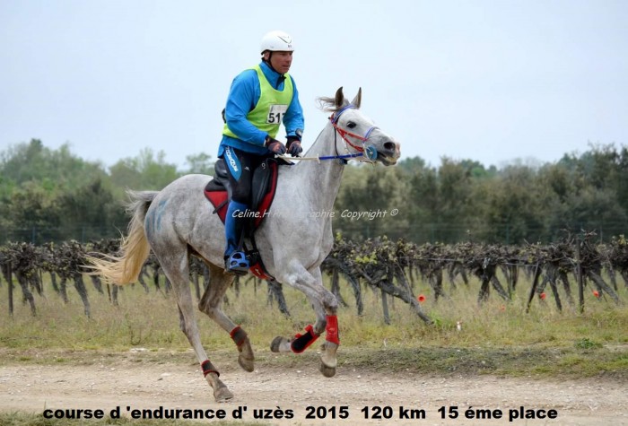 Photo de profil de cavalphils