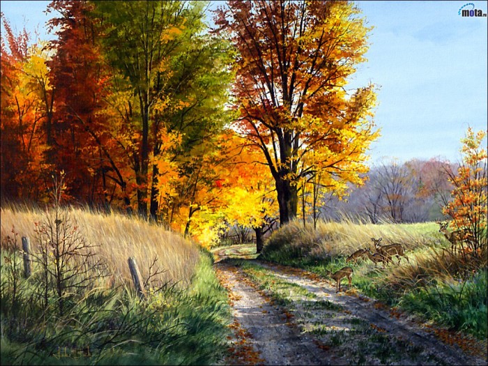 Photo de profil de charlotte.ca