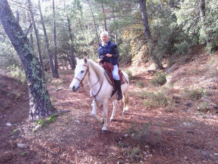 Photo de profil de chevalcamargue