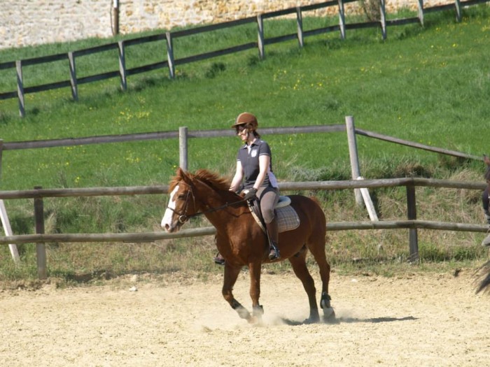Photo de profil de chevalily