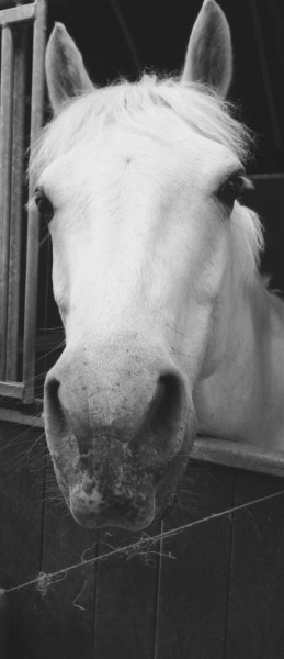 Photo de profil de chloe_bp