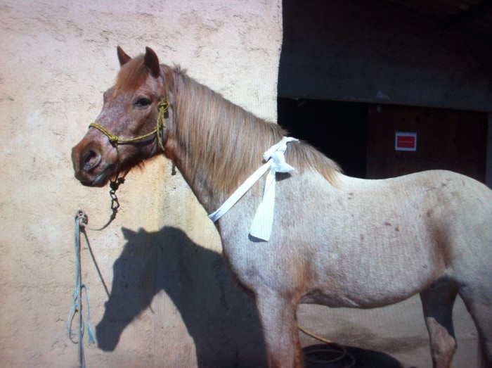 Photo de profil de chloedetienne