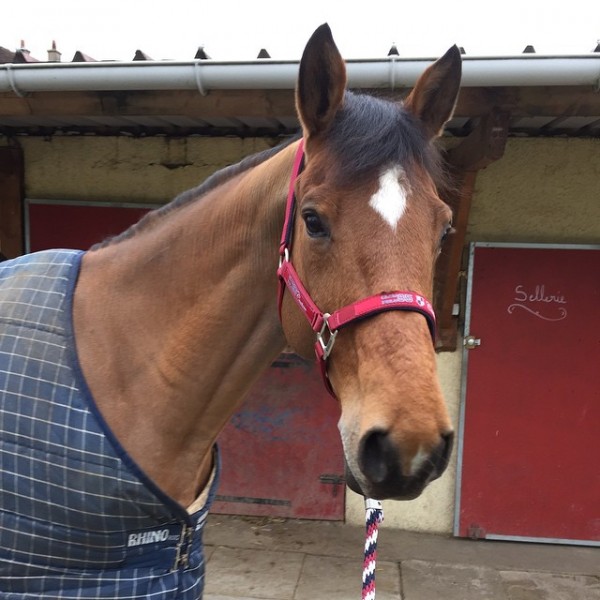 Photo de profil de chloedg