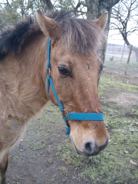 Photo de profil de chloe.mtn.equit