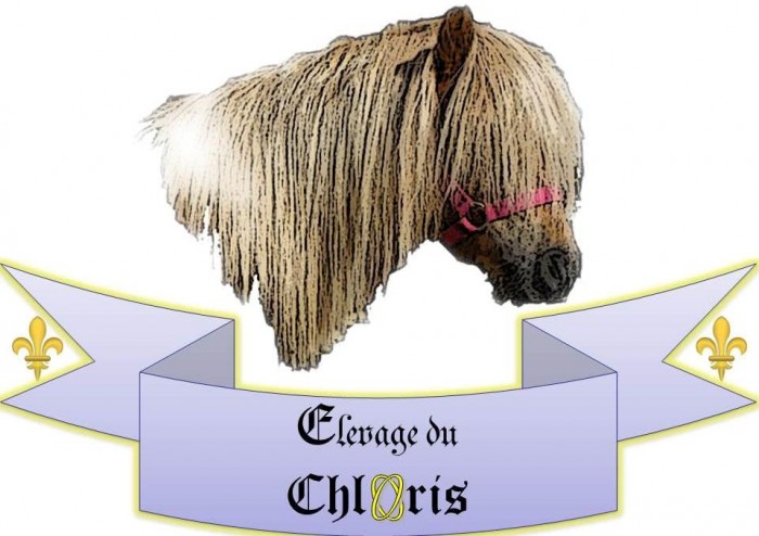 Photo de profil de chloris