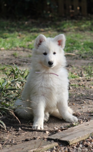 Photo de profil de choupette0406