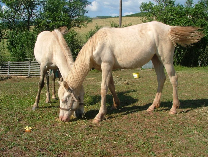 Photo de profil de clairealfonso