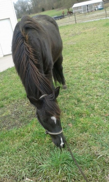 Photo de profil de cle23