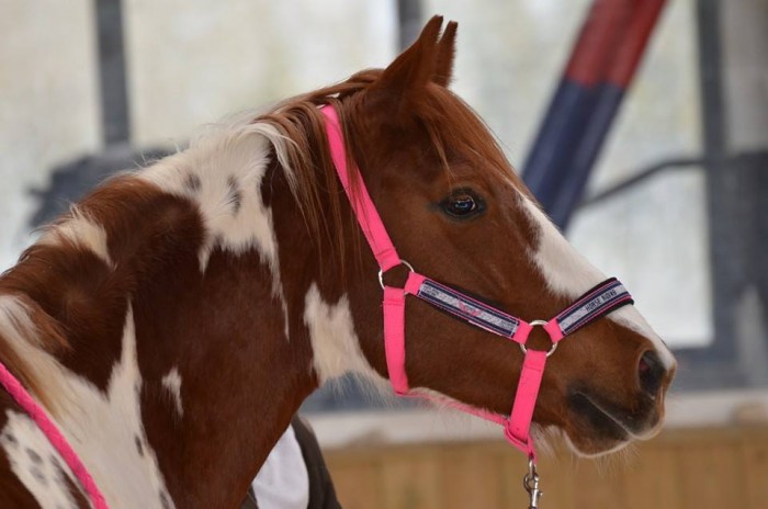 Photo de profil de clem.adm