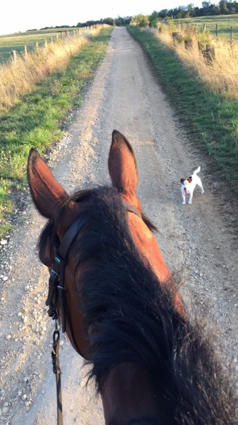 Photo de profil de clemencep