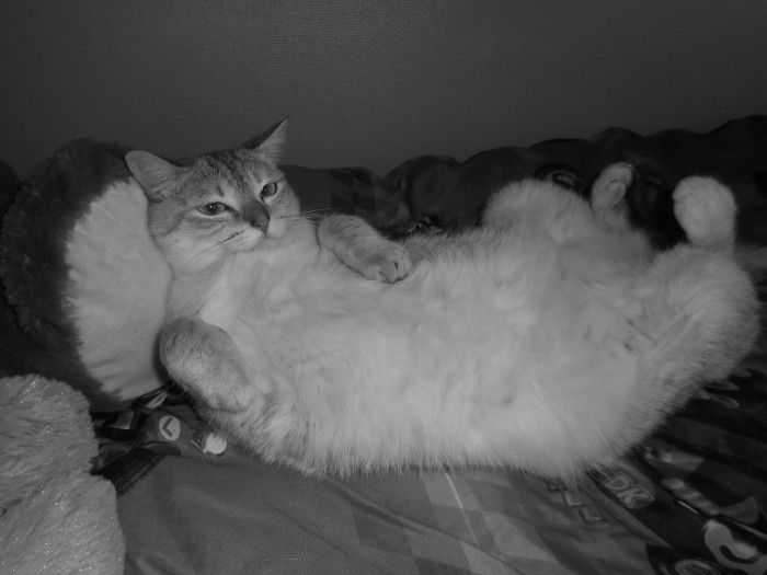 Photo de profil de cloema