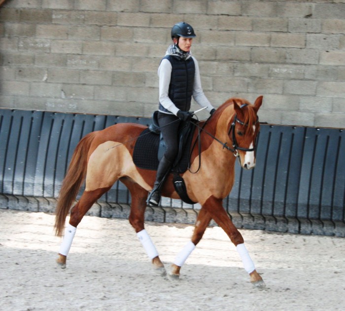 Photo de profil de clothilde.c