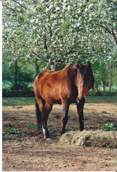 Photo de profil de c.marie