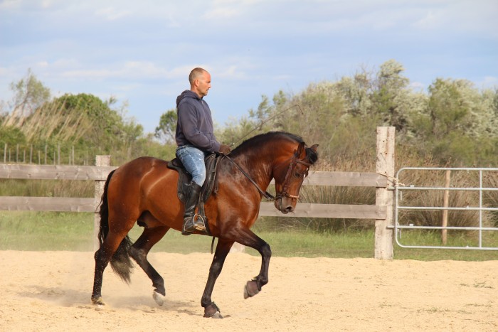 Photo de profil de cotecamargue