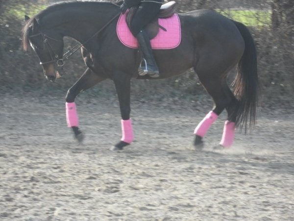 Photo de profil de crystalinemarie