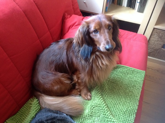 Photo de profil de ctl71orange.fr