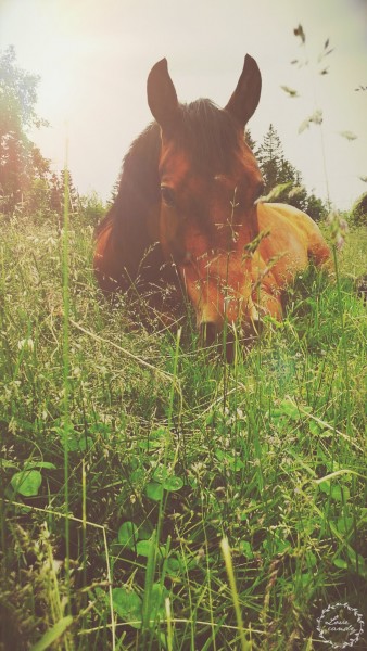 Photo de profil de cybelle14