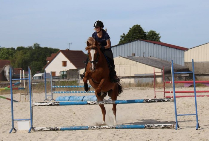 Photo de profil de damande