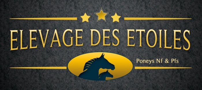 Photo de profil de desetoiles