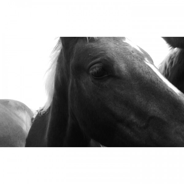 Photo de profil de dhffeb