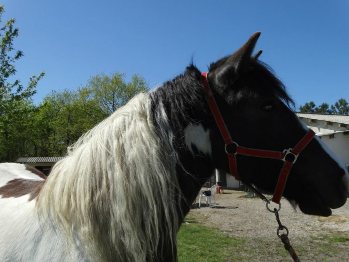 Photo de profil de dmnedupointon