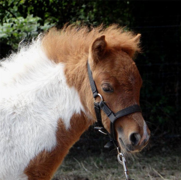 Photo de profil de doudou50