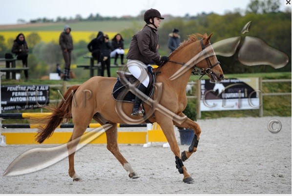 Photo de profil de dracla57