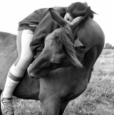Photo de profil de dream.horse