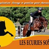Photo de profil de ecuriessonador