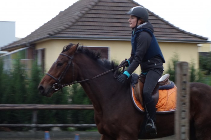 Photo de profil de eleheck