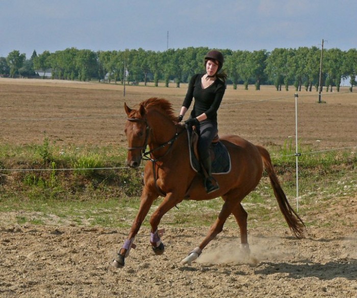 Photo de profil de elenica