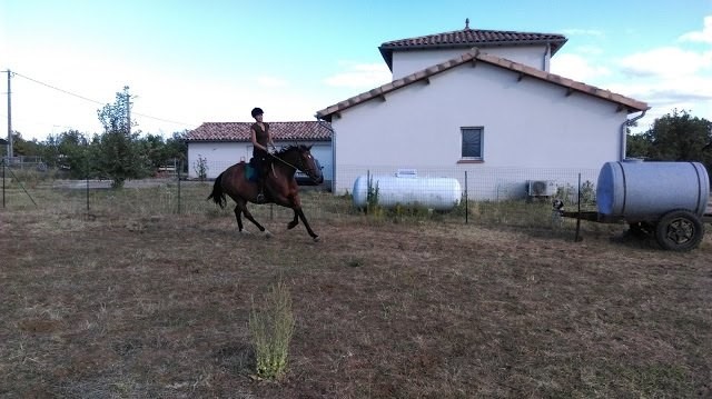 Photo de profil de eliserena