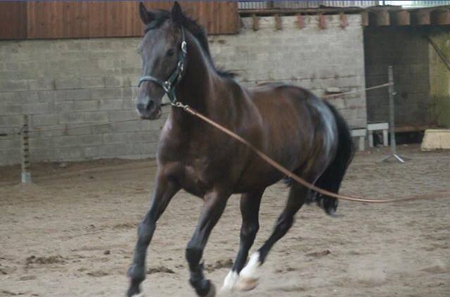 Photo de profil de emerenceb