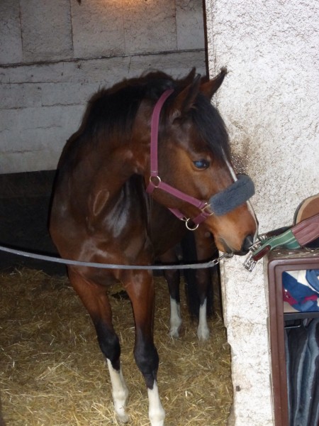 Photo de profil de emie_braveheart