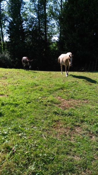 Photo de profil de emilie8211