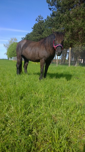 Photo de profil de emilievf