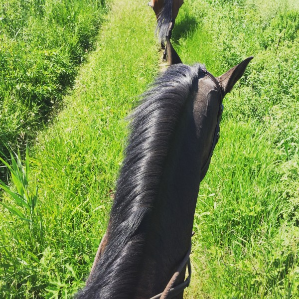 Photo de profil de emir4977