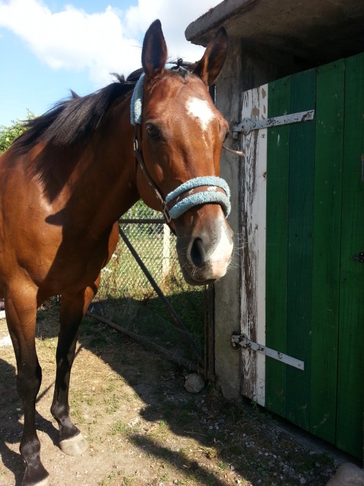 Photo de profil de emma.louisiane