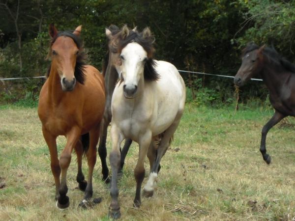 Photo de profil de equidiamarine