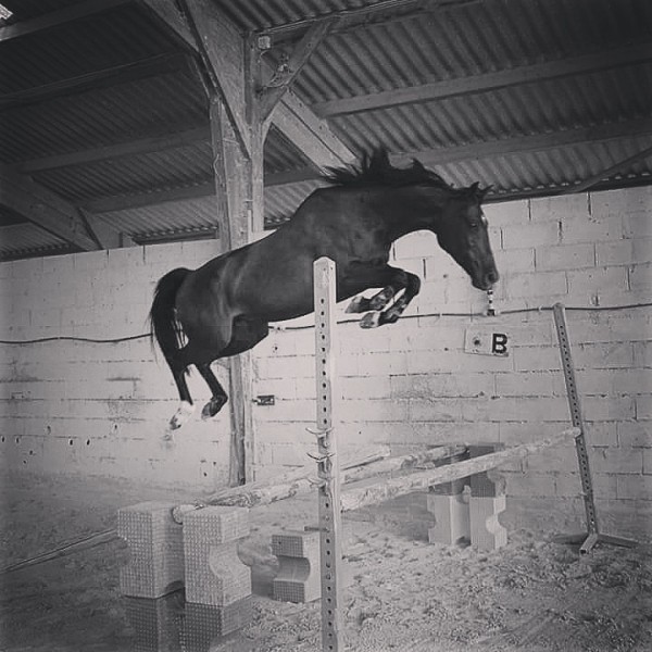 Photo de profil de equiequi