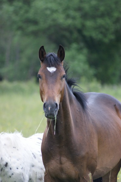 Photo de profil de equipobois