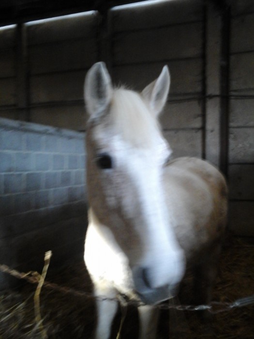 Photo de profil de equitdream