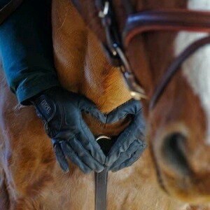 Photo de profil de equitextes